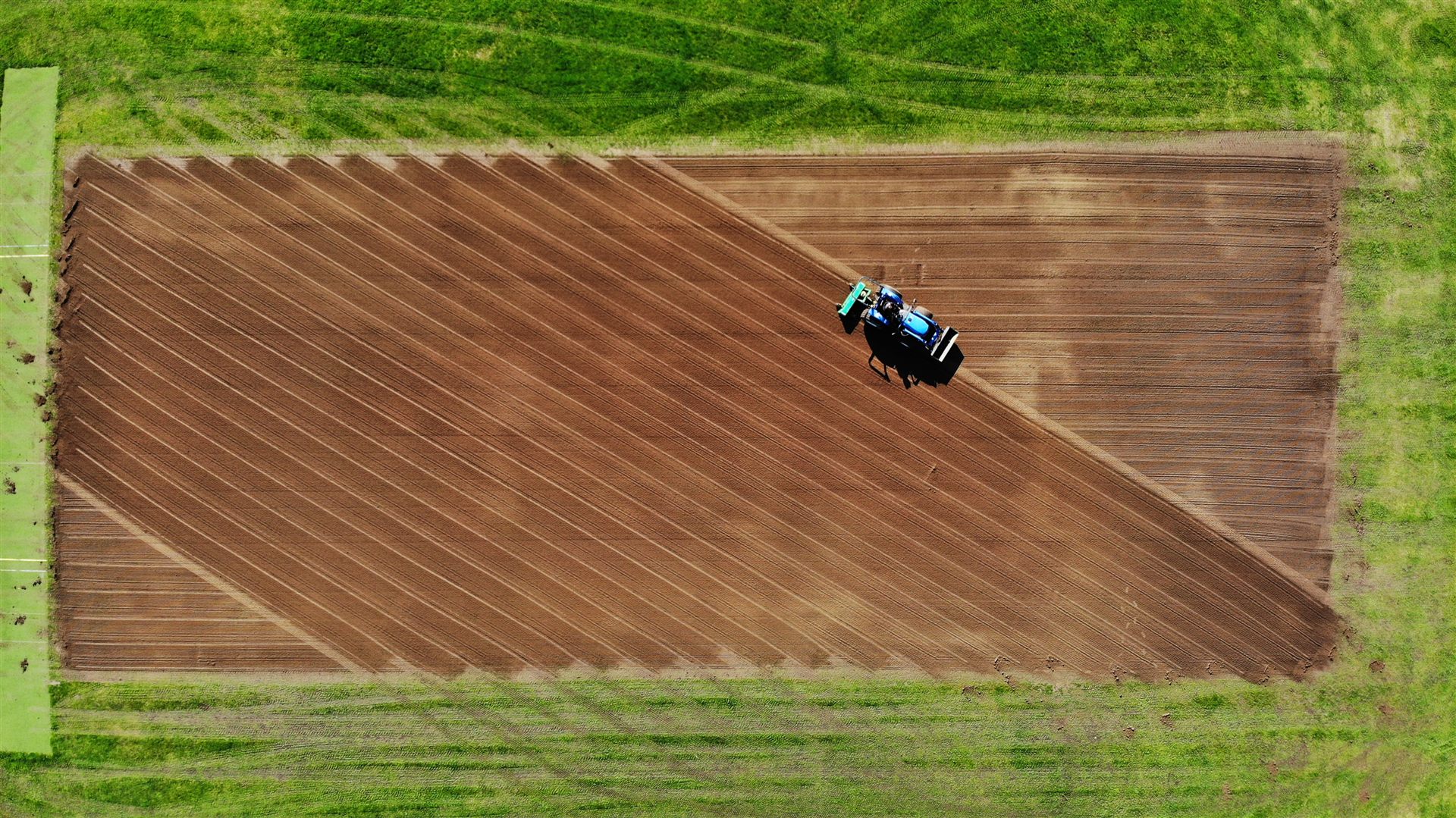 Grasstex aerial view